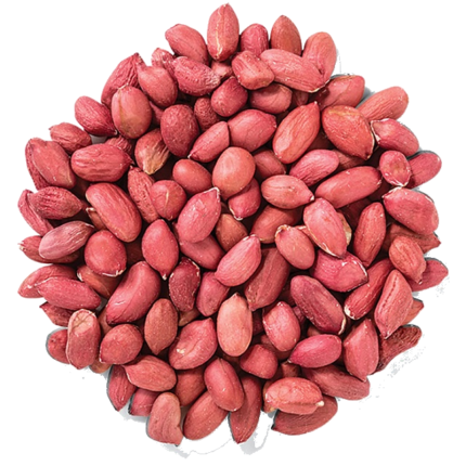 Peanut / Groundnut