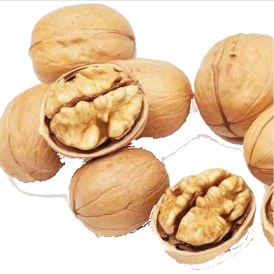 Walnut