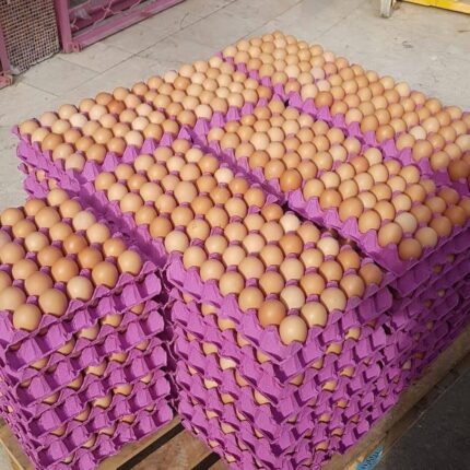 Fresh Chicken Eggs